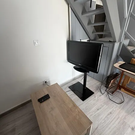 Toutes Commodites Avec Mezzanine Apartment *