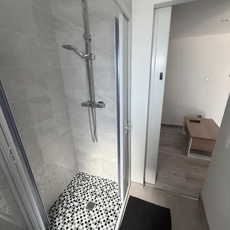 Toutes Commodites Avec Mezzanine Apartment