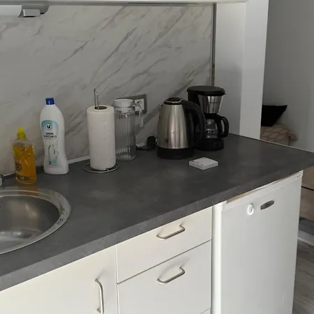 Toutes Commodites Avec Mezzanine Apartment